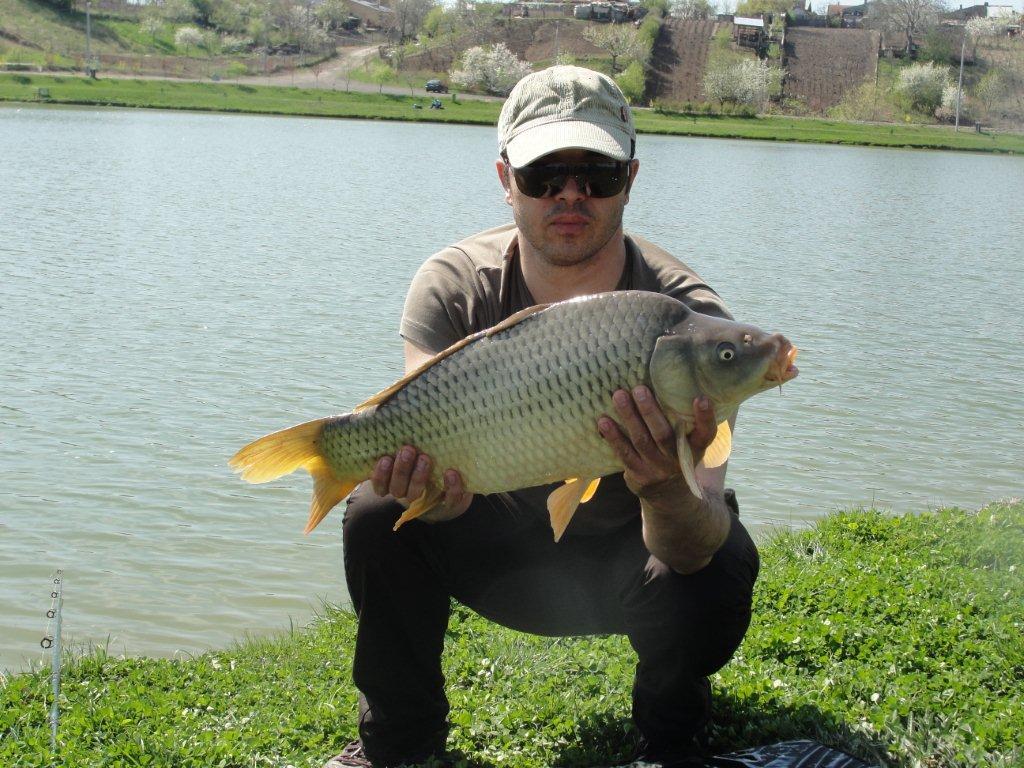 Floarea Popestiului 14.04.2012